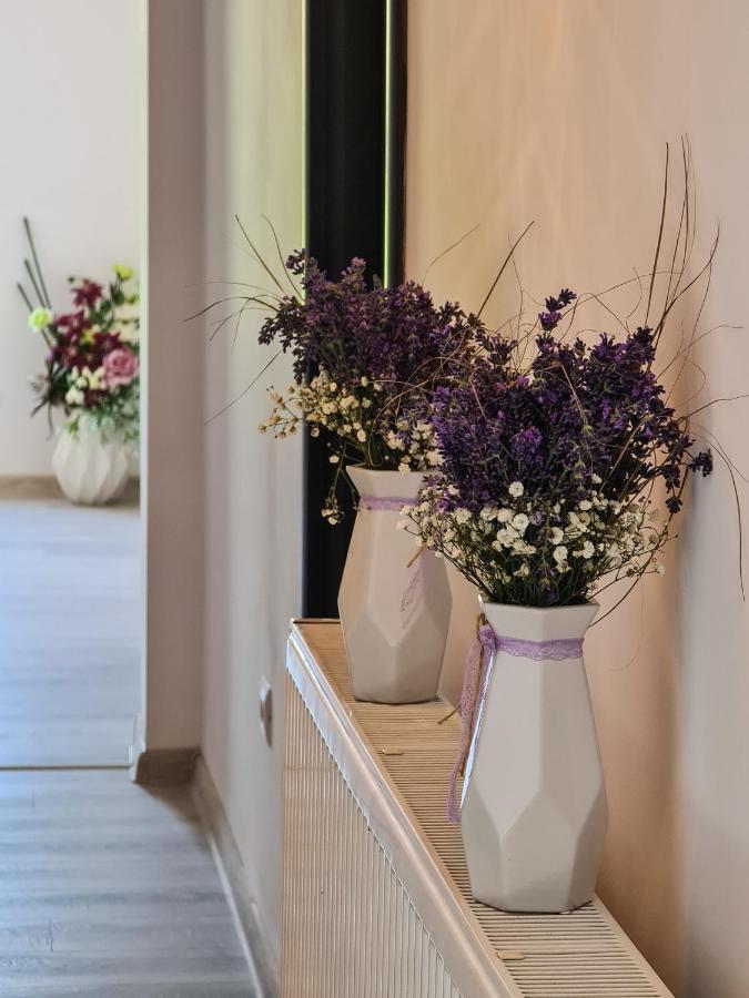 Pensiunea Lavanda, Piatra-Neamt Karácsonkő Kültér fotó